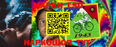 сатива Моздок