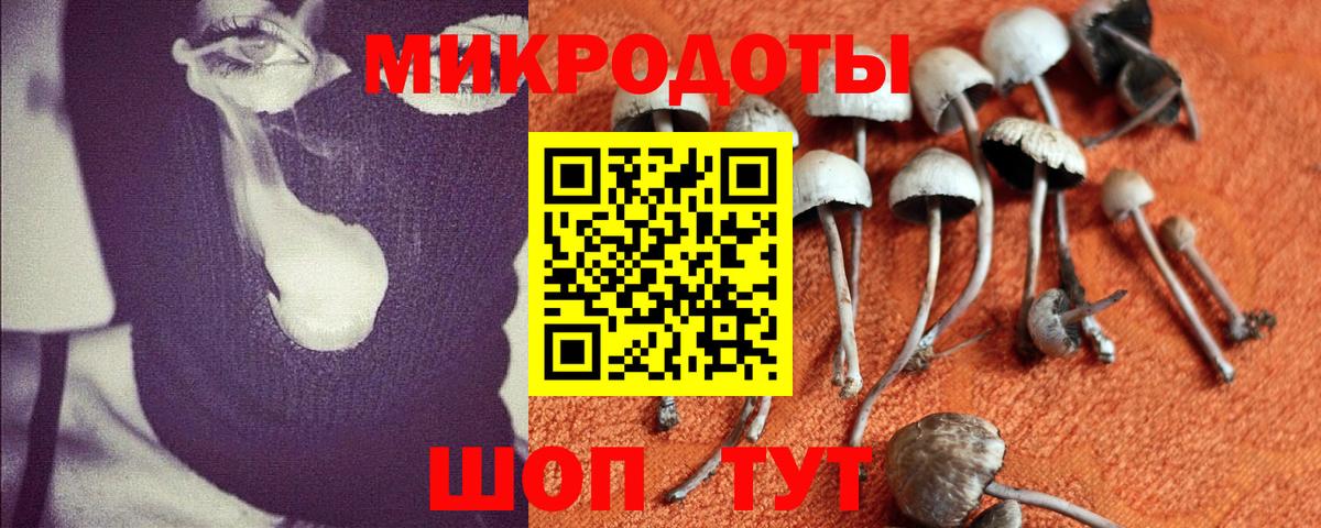 Псилоцибиновые грибы Magic Shrooms Унеча
