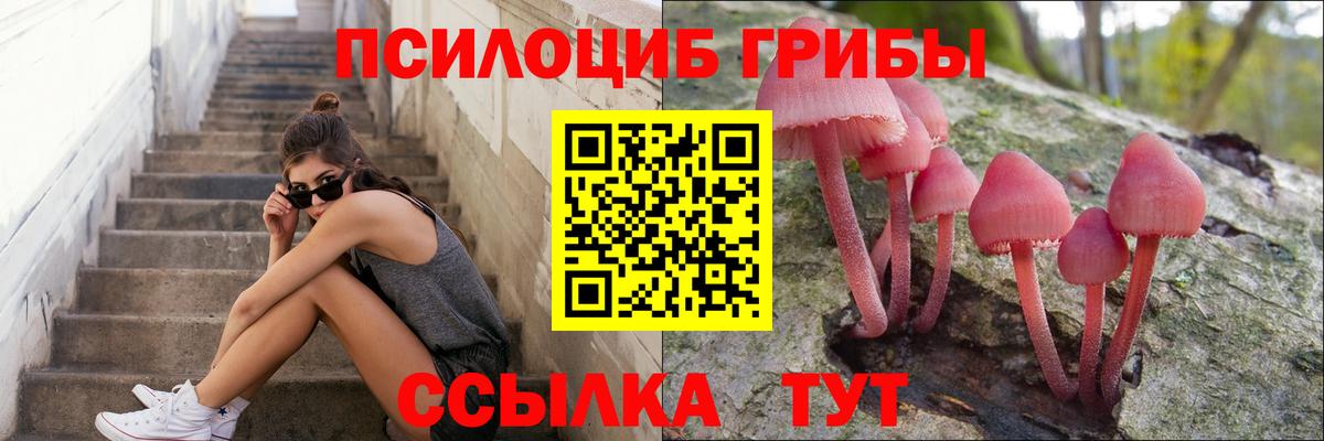 Галлюциногенные грибы Psilocybine cubensis  цены наркотик  Унеча  Вход с VPN 